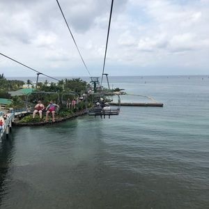 Meet your Posher, George